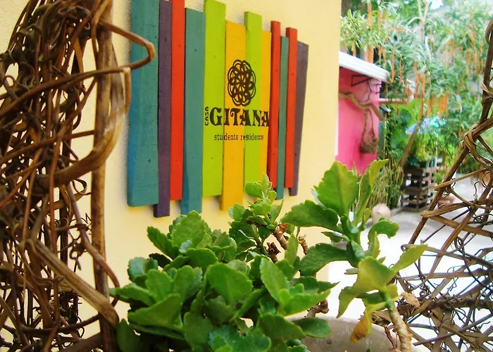 Casa Gitana Hostel & Traveler\'S Home