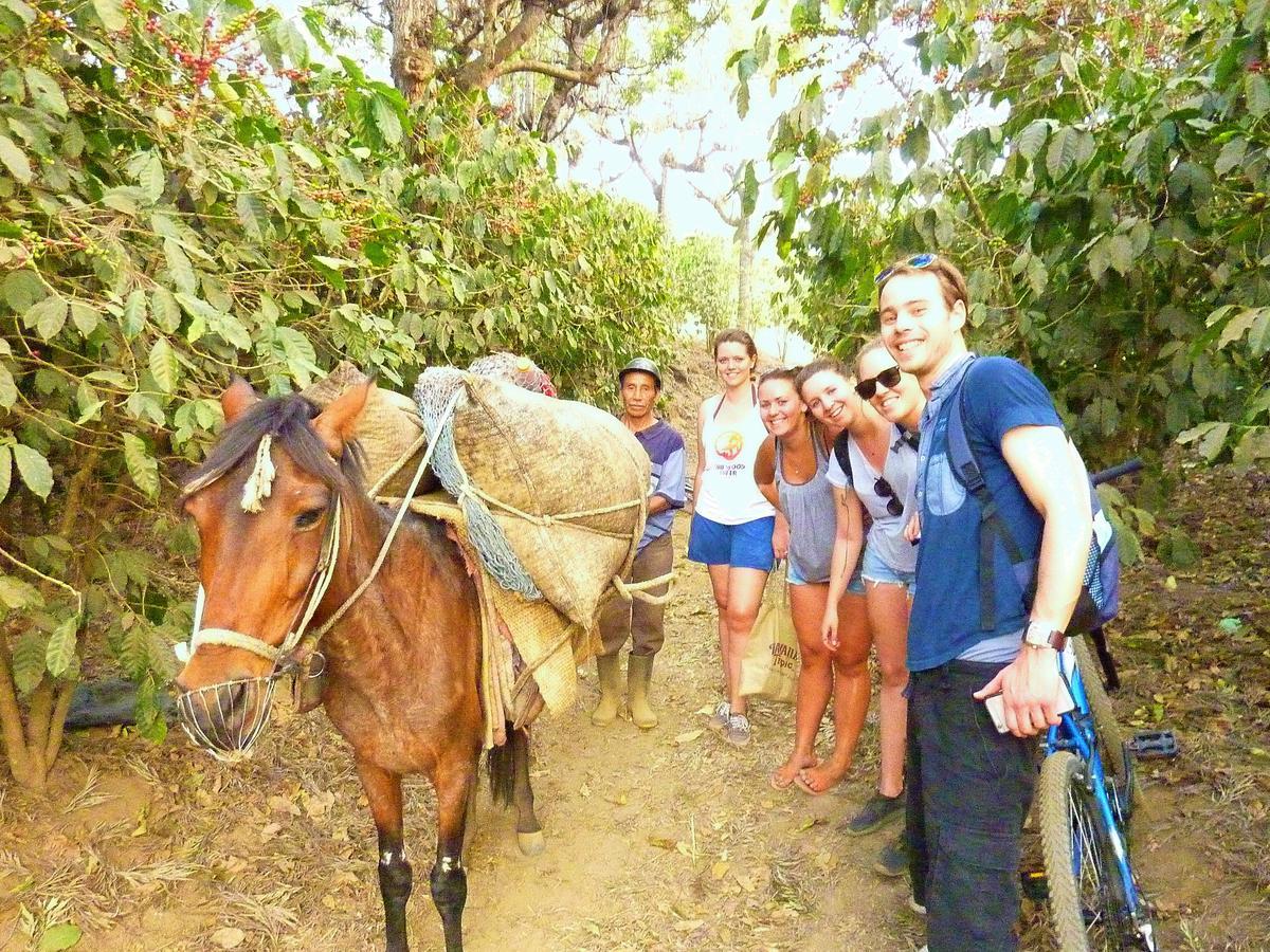 Casa Gitana & Traveler's Hostel